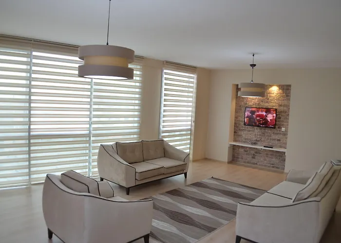 Hill 伊斯坦布尔